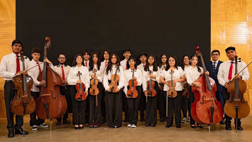 Orquesta de Cámara Fundacion FA